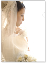 オリジナルデザインの高彩度エコペーパーファイルサンプル