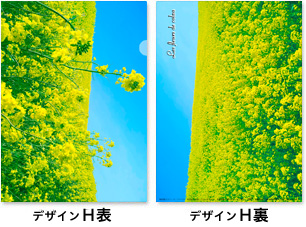 イデアオリジナルカラーエコペーパーホルダー デザインE