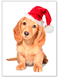 オリジナルデザインの高彩度エコペーパーファイルサンプル